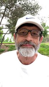 Firework Anxiety In Dogs