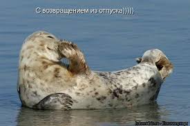 Image result for с возвращением картинки