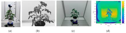 Replace youtube.com with y2mate.top in the link to download videos and mp3 files from youtube as a faster way. Sensors Free Full Text Measurement Method Based On Multispectral Three Dimensional Imaging For The Chlorophyll Contents Of Greenhouse Tomato Plants Html