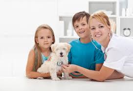 Maybe you would like to learn more about one of these? Free Dog Shots Sacramento For Puppies Near Me June 2018
