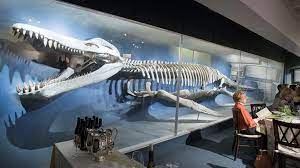 .museum of natural history is a natural history museum housed in the university museum building, located on the campus of harvard university in cambridge, massachusetts. Host An Event Harvard Museum Of Natural History