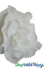 Choose from 70+ white foam graphic resources and download in the form of png, eps, ai or psd. 16 Best Foam Wall Flowers Ideas Flowers Flower Wall Foam Flowers