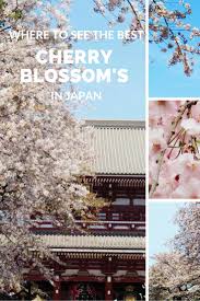 Cherry Blossom Season In Japan With Kids The Kid Bucket List Japan With Kids Japan Travel Japan Travel Destinations