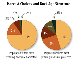 How Many Bucks Can I Harvest Qdma