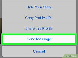 It is pretty straightforward, and you can click on the view private instagram button on the website. Simple Ways To See Private Instagram Pictures 15 Steps