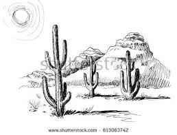 Cactus In The Desert Desert Drawing Easy Animal Drawings Landscape Drawings