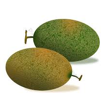 Entdecke rezepte, einrichtungsideen, stilinterpretationen und andere ideen zum ausprobieren. Blewah Masih Hidup Buah Yang Dilukis Dengan Tangan Jenis Kartun Melon Kuning Hijau Elemen Grafis Templat Psd Unduhan Gratis Pikbest