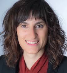 Status of the Inverter Industry June 2019