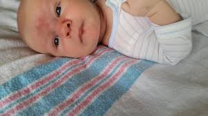 Read pocałunek anioła tom 1 from the story książkowe cytaty by mmmm2107 with 7 reads. Aniola Buziak Obraz Stock Obraz Zlozonej Z Anielski 31493681