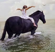 Having a trusting relationship with a horse is very important. 10 Trust Building Exercises For Equestrians Writing Of Riding
