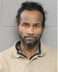 ᐅ Illinois Criminal Records 2009-2025