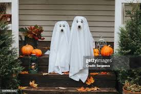 Image result for quirky halloween