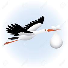 Main ciconia peint illustration oiseau isolé sur fond blanc. Voler Cigogne Avec Bebe Clip Art Libres De Droits Vecteurs Et Illustration Image 19577672