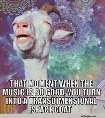 10 Goat Memes To Cheer You Up