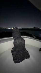 mr6911 (@HoejabiLover21)  Posts  X