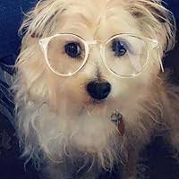 Tamara Mccool's Instagram, Twitter & Facebook