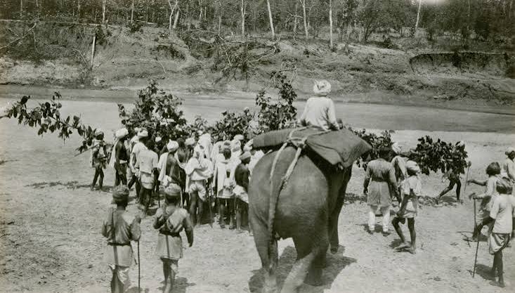 Tiger Hunting in India 1924 | National Geographic