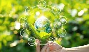 Environnement et développement durable | Domaine d'études