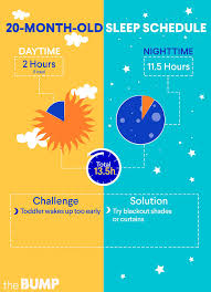 20 month old development milestones toddler month by month