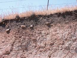 The large positive strain (expansion). Soil Formation An Overview Sciencedirect Topics