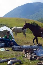 August 2013 Backcountry Camping The Great Outdoors Whale Watching