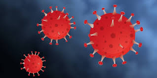 The human coronavirus nl63 shared a common ancestor with a bat coronavirus (arcov.2) between 1190 and 1449 ce. Coronavirus In Der Region Hannover Gesundheitsschutz Gesundheit Leben In Der Region Hannover
