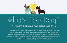 I show you how to give your dog a name The Dog Blog Top Dog Names Of 2015