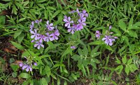 If you are a local business or organization, please take a minute to add your info to our online directory. Bleeding Heartland