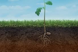 Product application rates & spreader settings. Herbicides Grow Smart Grow Safe