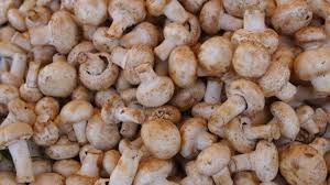 If the mushrooms look super clean, you don't need to clean them off. How To Clean Mushrooms The Easiest And Best Way