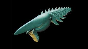 Image result for Megaloprotachne