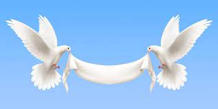 Maybe you would like to learn more about one of these? Imagenes De Paloma Blanca Vectores Fotos De Stock Y Psd Gratuitos