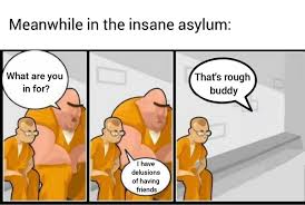 Check spelling or type a new query. Meanwhile In The Insane Asylum What Are You In For I Have Delusions Of Having Friends That S Rough Buddy Lol Pics