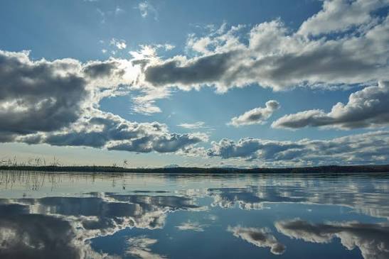Weather Forecast Pictures | Download Free Images on Unsplash