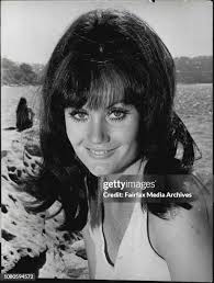 158 Robin Greer Stock Photos, High-Res Pictures, and Images