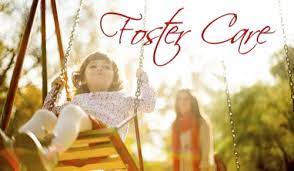 Peggy adams animal rescue league and palm beach county animal care and control (pbcacc) are in desperate need of more foster parents. Foster Care