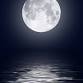 Loon Moon Paddle, Cross Lake: 2026 Loons & Lakes...