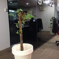 Hdslr media sdn bhd adalah sebuah syarikat milik bumiputera 100%, berpengalaman dalam bidang video produksi sejak. Photos At Ganad Media Sdn Bhd Solaris Dutamas