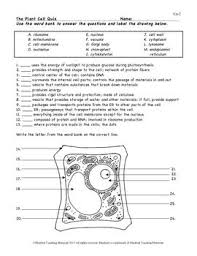 Check spelling or type a new query. Plant Cell Color Page Worksheet And Quiz Ce 2 Plant Cell Cell Parts Plant Cell Parts