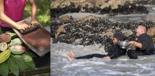 5 next-level cooking classes