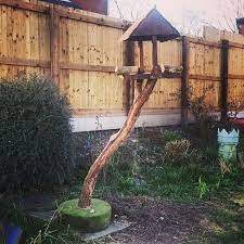 Homemade Bird Table With Tree Trunk Stand Trunk Sits In A Concrete Polo Mint Stand Tree Tree Trunk Garden Crafts