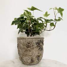Plant pots indoor is using manual polishing technology to make it smooth in texture and easy to clean. How To Plant In Pots Without Drainage Holes 4 Simple Solutions My Tasteful Space