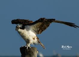 Rockport-Fulton Photos