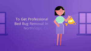 Bed bugs pest control exterminators manhattan ny. Ocp Bed Bug Exterminator Northridge Ca Bed Bug Removal