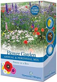 How many hours of direct sunlight does it get? Mixed Perennial Garden Flower Seed Grow Your Own Colourful Plants Such As Wallflowers Poppies Dianthus Bee Friendly 1 X 15g Pack By Thompson Morgan Amazon Co Uk Garden Outdoors