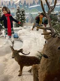 Maybe you would like to learn more about one of these? The Christmas Place Home Facebook
