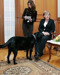Berdymukhamedov's presentation of a puppy to vladimir putin is ironic, given the bloodbath of stray dogs and cats over which he has presided in ashgabat. Koni Almost Dailybrett