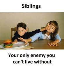 Everyone with a sibling knows that your brother and sister are the only people in the world that can drive you absolutely nuts, yet you would still take a bullet for them. 29 Super Siblings Ideas Sister Quotes Brother Quotes Brother Sister Quotes