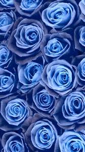 12 Gorgeous Floral Iphone Xs Wallpapers Blue Iphone Xr Wallpapers Bluewallpaper Bluewallpaperiphone Bluewall Mavi Gul Mavi Duvar Kagitlari Fotografcilik