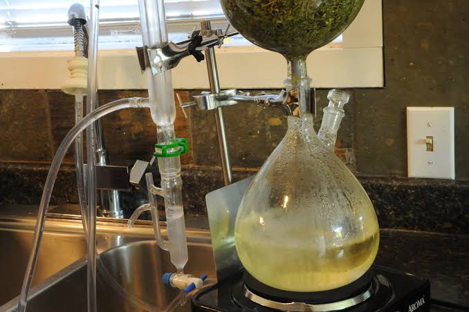 Essential Oil Distillation Equipment Review - GROZINE
